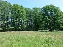 PR Kamenný rybník - louka