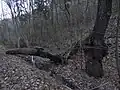 spodní okraj chráněného území