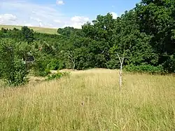 Kovářův žleb