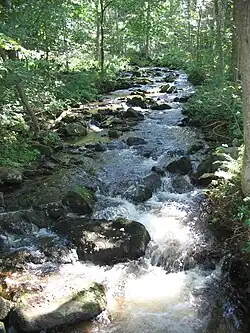 Řeka Losenice na okraji rezervace