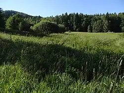 pohled na lokalitu od jihu
