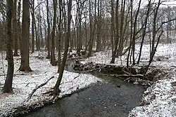 Přírodní rezervace Mýto