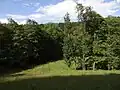 Severnější část PR Neratovské louky