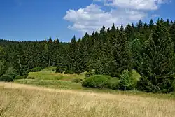 Severní část rezervace