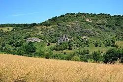 PR Rač