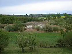 Rašovický zlom - Chobot