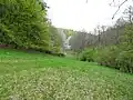 Louka v údolí Černého potoka
