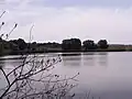 Velký Pavlovický rybník