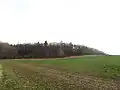 Cesta v Vlčnovskému háji
