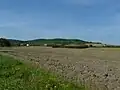 Přírodní rezervace Vrch Baba u Kosmonos - pohled od Horních Stakor