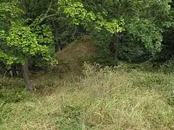 Pohled ze svahu
