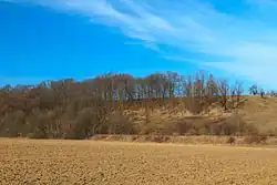 PR Zámělský borek