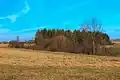 Zámělský borek