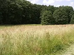PR Zlatá louka