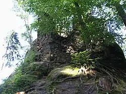 Pařez 356.jpg