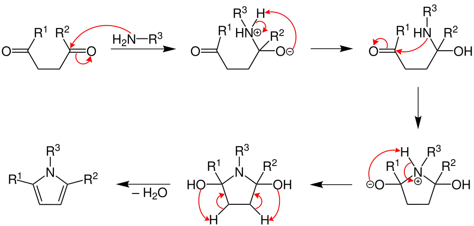 Mechanismus Paalovy–Knorrovy syntézy pyrrolů