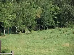 Tvrziště