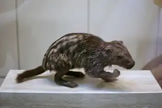 alternativní popis obrázku chybí