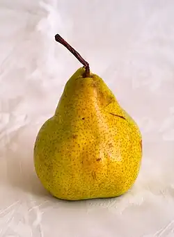 Packhamova