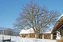 leden 2006