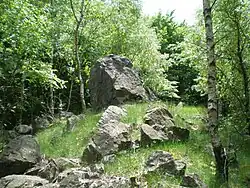 Palcíř