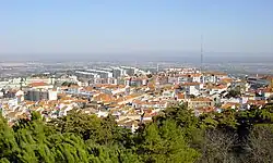 Centrum Palmely