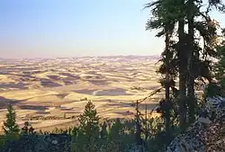 Podzimní krajina v Palouse