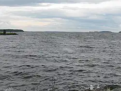 Paltaselkä