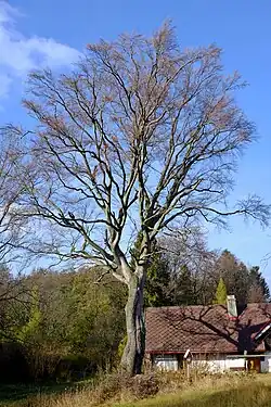 v říjnu 2019