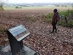 Panorama Markowicka