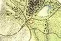 Dvůr Doubravice zakresleny na mapě rok 1768.