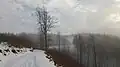 Panská cesta na jižním úbočí Švédského vrchu