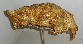 alternativní popis obrázku chybí