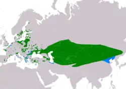 Rozšíření sýkořice vousaté