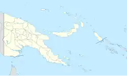 Manus