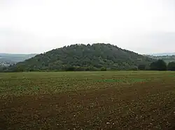 Paradis 008.jpg