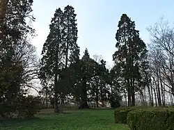 Park v Tesároch