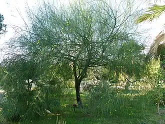 alternativní popis obrázku chybí