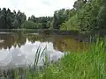 Pohled na jih, poměrně rozsáhlý litorál