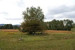 Pastvina u Zahorčic