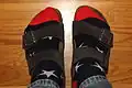 Sandálové/přezkové pantofle Arizona od firmy Birkenstock
