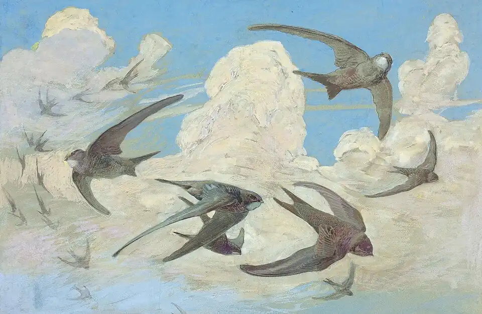 Paul Robert, 1919–1923
