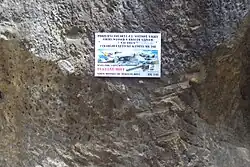 Infocedule Nautilus