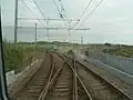 Srdcovky s litým středem.