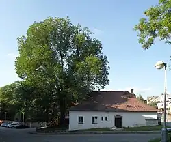 Celkový pohled od jihu v létě 2017