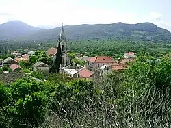 Dubrava
