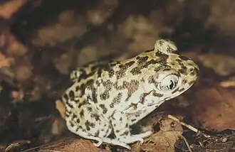 alternativní popis obrázku chybí