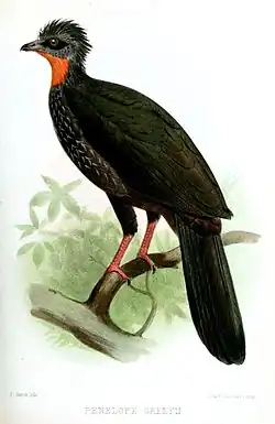 Joseph Smit, 1866