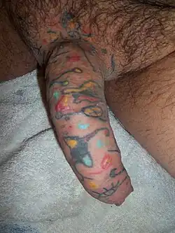 Lidský penis zcela tetovaný