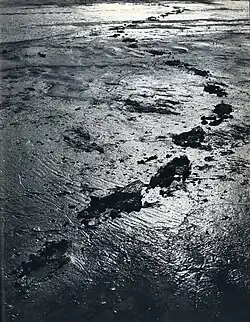 Z cyklu Píseň umírajícího jezera, 1960